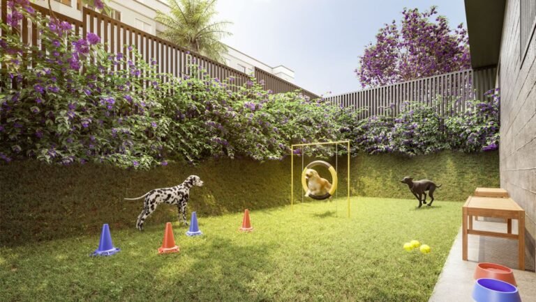 apice-vila-yara-pet-place